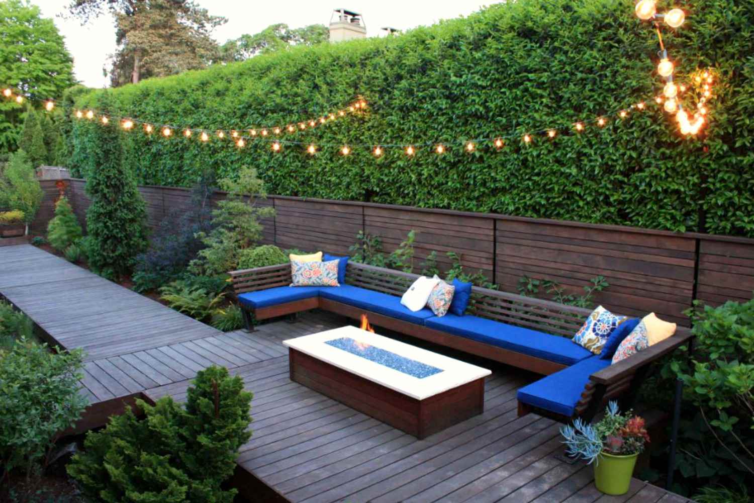 What is a privacy hedge and what is a fence?