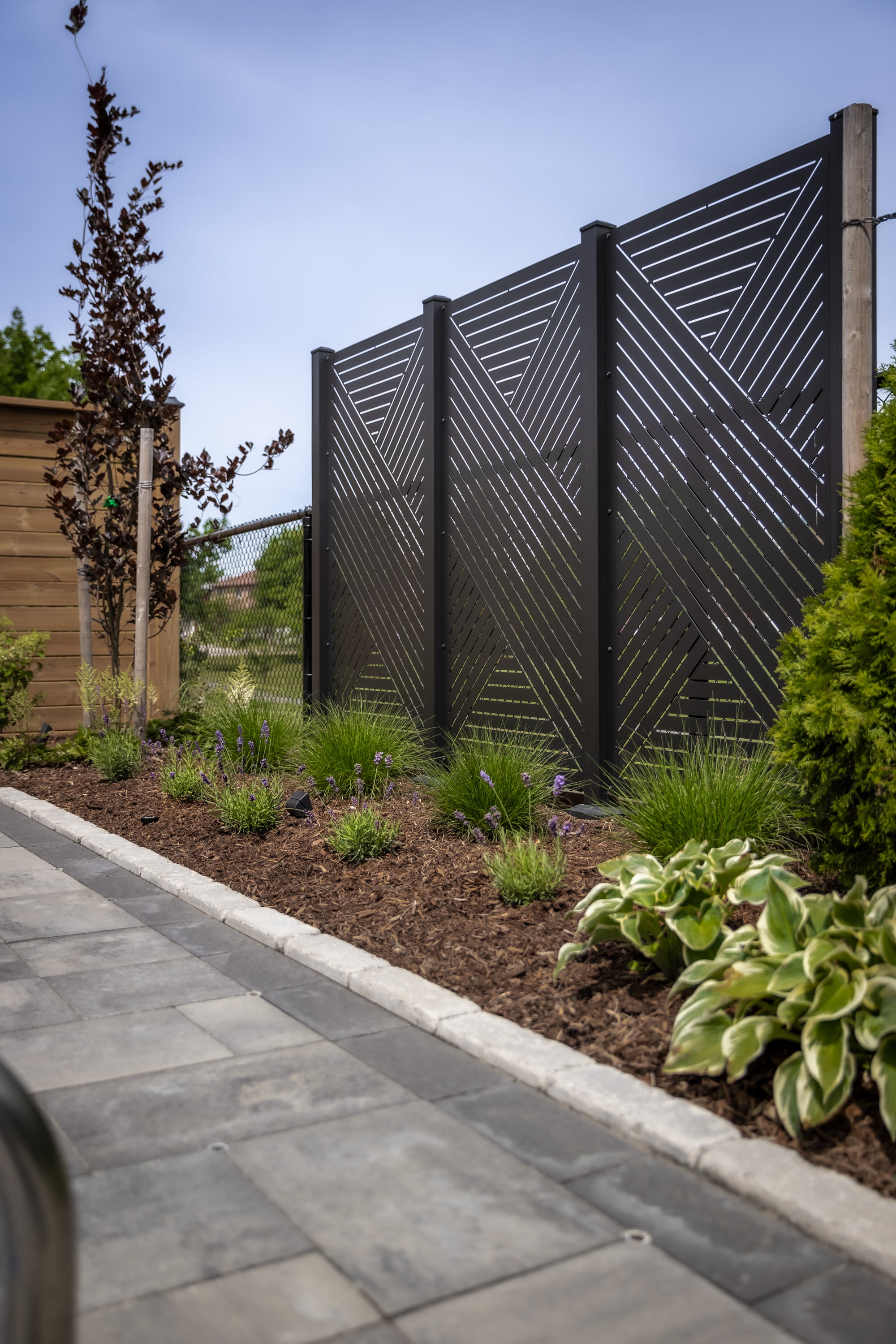 Privacy Screen (Hexx)