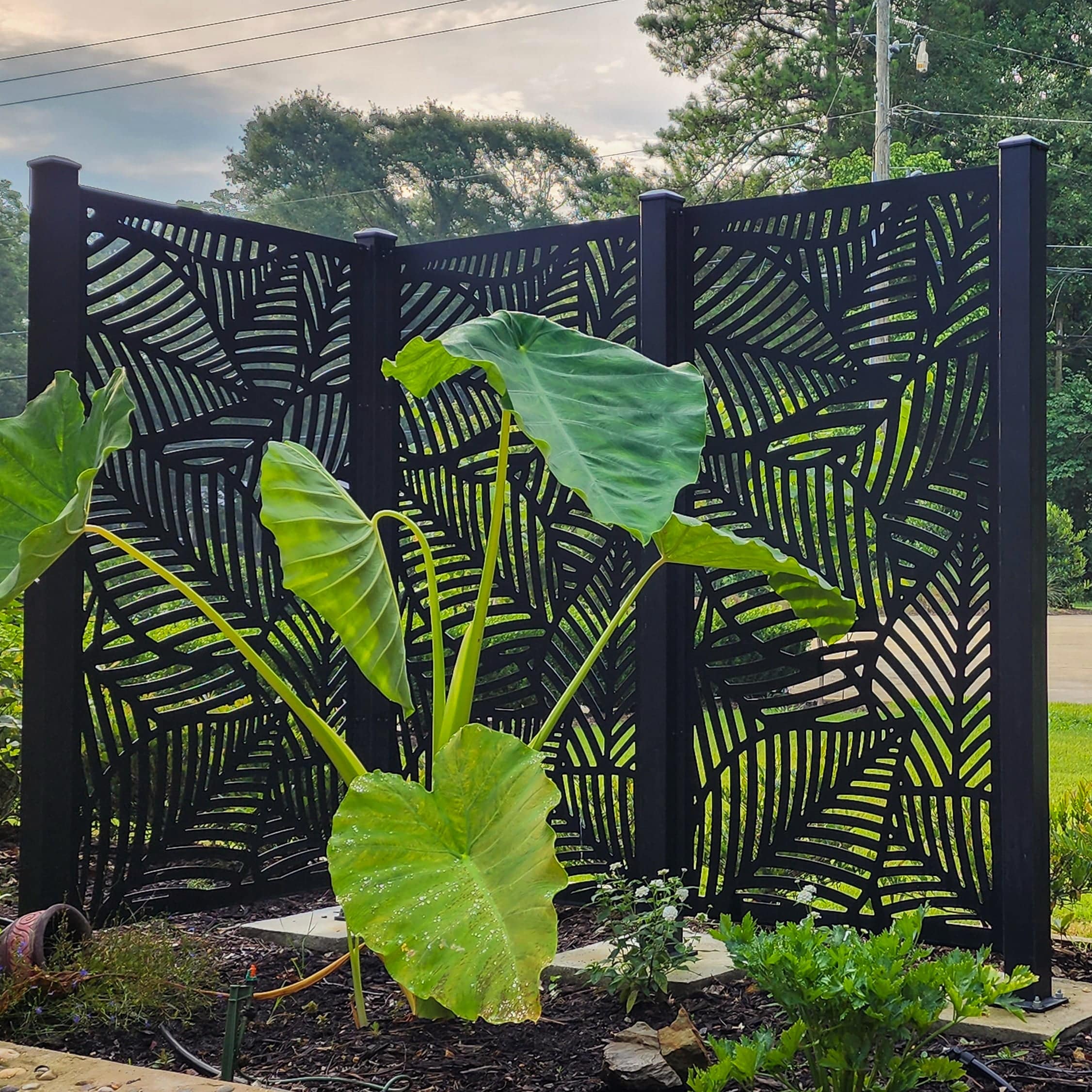 Privacy Screen (Maui) - HIDEAWAY USA